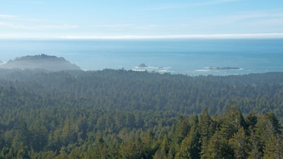 Strawberry Rock is a great viewing spot for the California Coastal National Monument. Trinidad Head is prominent on a clear, sunny day. 